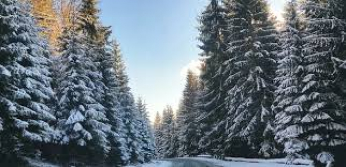 Прогноз погоди в Закарпатті на вівторок