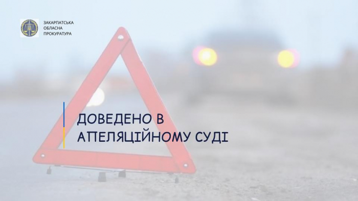 Закарпатець, який влаштував ДТП з неповнолітніми, проведе за ґратими три роки