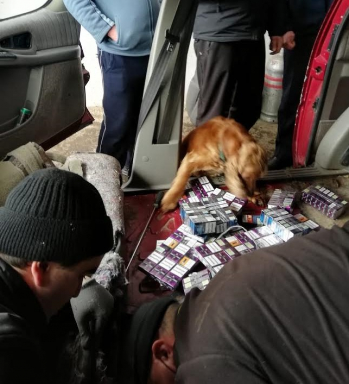 На Закарпатті викрили тютюнову контрабанду