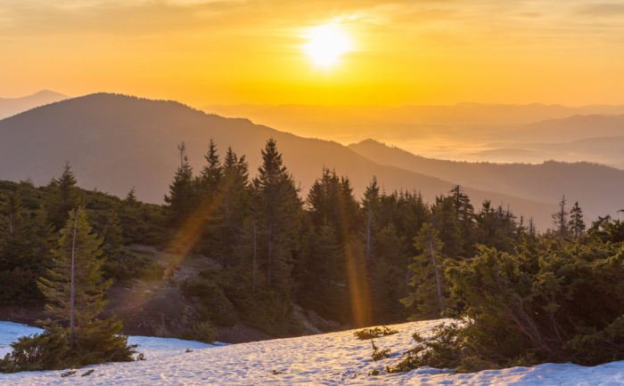 Цього тижня весна заявить на свої права в Закарпатті: синоптики прогнозують потепління