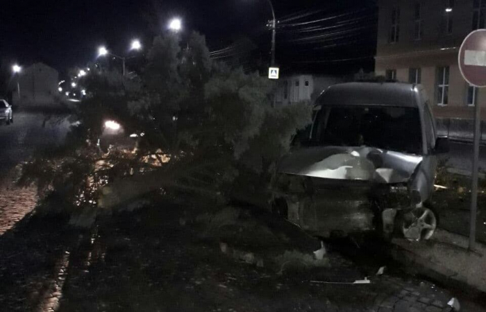 У Мукачеві серед ночі чоловік на автівці зніс дерево (ФОТОФАКТ)