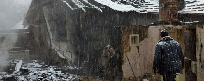 Дві будівлі та худоба: на Закарпатті пожежа знищила частину господарства
