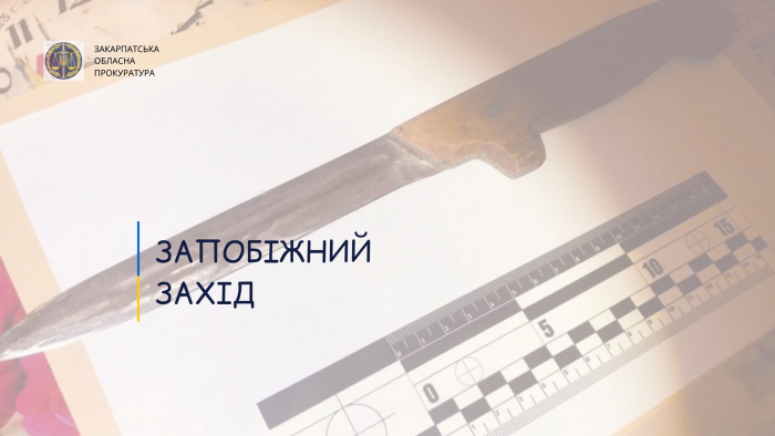 За грабіж та заподіяння тяжкого тілесного ушкодження ужгородець перебуватиме під вартою
