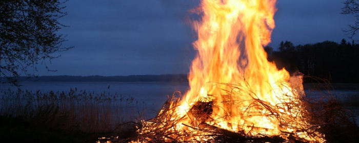 12 підпалів сухої трави зафіксували закарпатські рятувальники за вихідні
