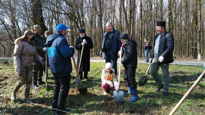 Сотні саджанців дуба і липи висадили на Винограівщині