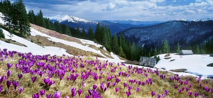 Прогноз погоди в Закарпатті на п`ятницю