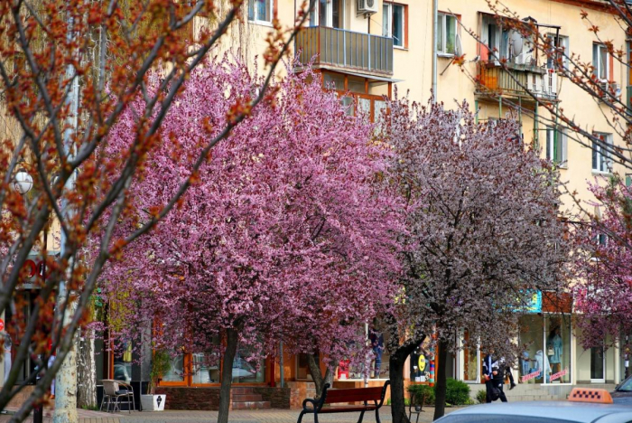 Туристичне Закарпаття. Соус-чилі з чорнобривцями, піца з равликами та реконструйовані замки
 