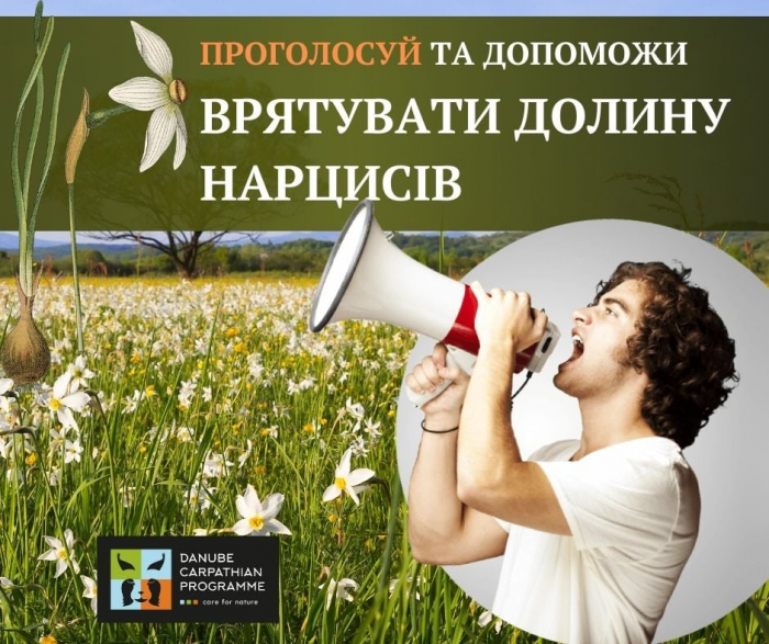  Лишилося мало часу: проголосуйте та допоможіть врятувати “Долину Нарцисів”
