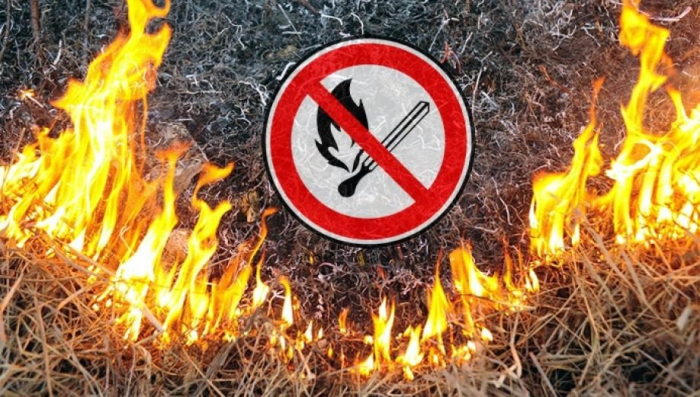 На Хустщині чоловік ледь не згорів, спалюючи траву