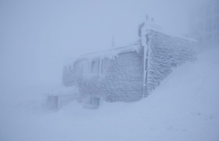 У високогір'ї Карпат панує зима: на горі Піп Іван – снігова заметіль і мороз (ВІДЕО)