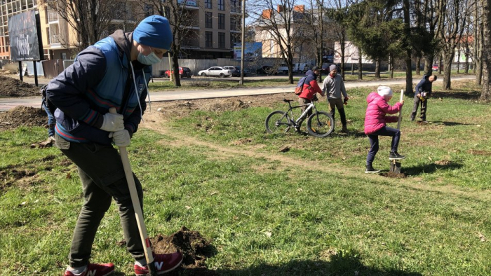 "Greening Planet": майже 58 тисяч дерев висадили за добу на Закарпатті під час міжнародної акції