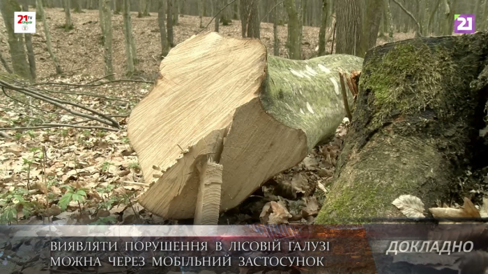 Виявляти порушення в лісовій галузі можна через мобільний застосунок