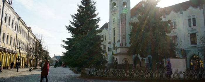 Дитсадки та початкові класи шкіл Мукачева на Закарпатті відновлять роботу
