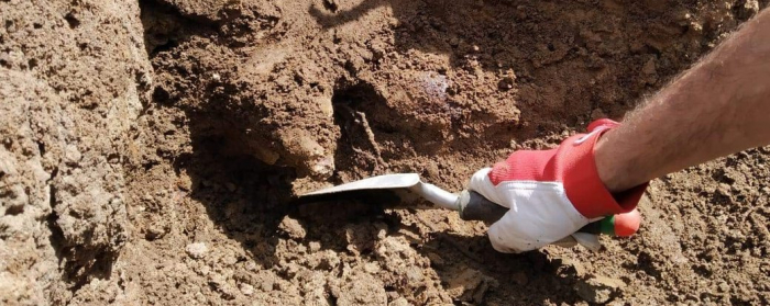 П’ять мінометних мін часів Другої світової війни знайшли на Ужгородщині