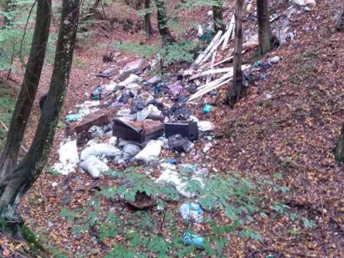 В Закарпаття 40% сіл не забезпечені централізованим вивозом відходів