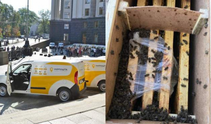 Історія продовжується: Відправник закарпатських бджіл відмовляється їх забирати із складу Укрпошти