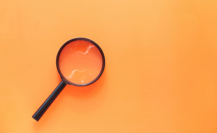 На Закарпатті виявлено факти формування штучного податкового кредиту на суму 6,7 млн грн