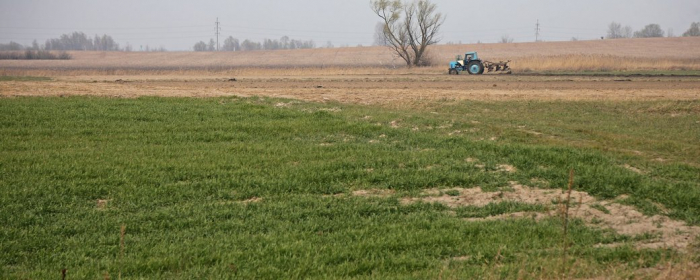 На Закарпатті у комунальну власність Горондівської громади повернули 8 гектарів землі