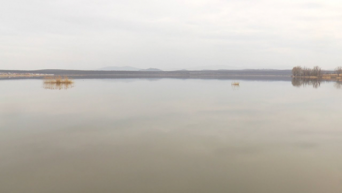 Рай для птахів: дивовижна штучна водойма неподалік Мукачева (ВІДЕО)