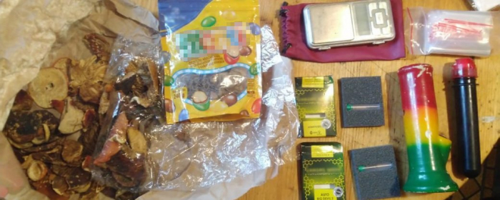 Молоду пару на Закарпатті судитимуть за збут галюциногенних грибів
