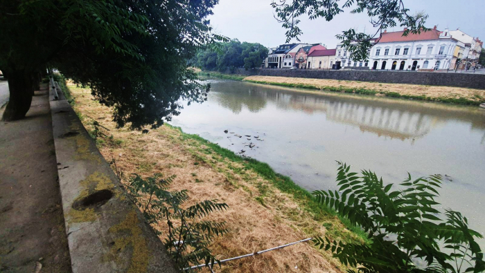 У центрі Ужгорода вкрали 11 решіток вуличної зливової мережі 