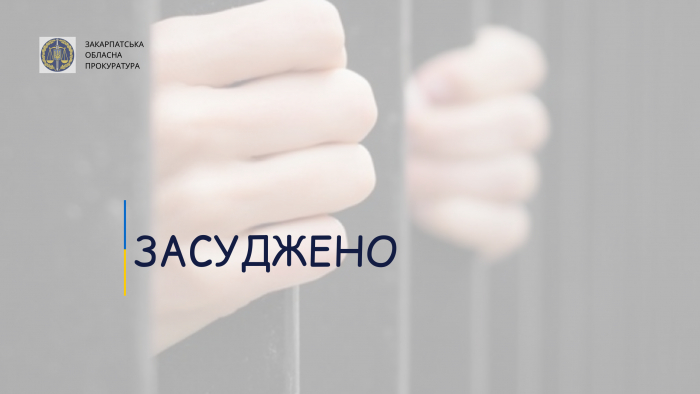 Неповнолітнього закарпатця засуджено до 10 років ув’язнення за зґвалтування