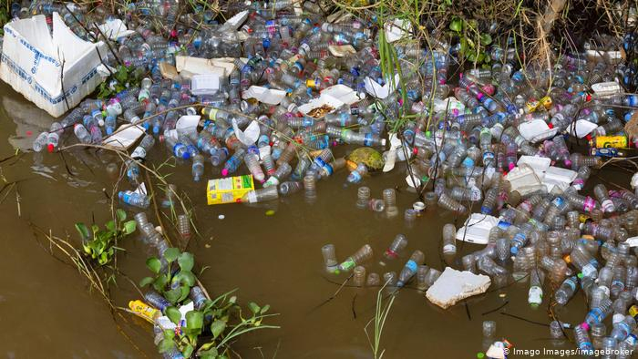 Пластик у річці Тиса на Закарпатті: як вирішити проблему?