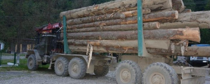 Вантажівку з нелегальною деревиною виявили закарпатські поліцейські на Тячівщині
