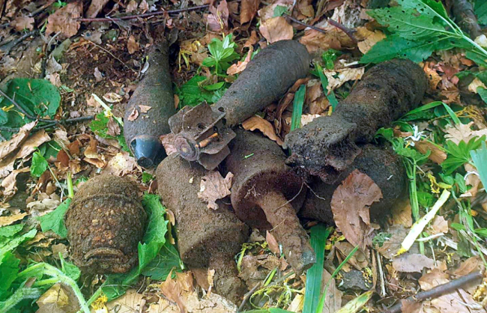 На Закарпатті турист знайшов в дереві небезпечну знахідку (ФОТО)