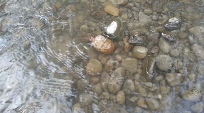 У Латориці під час купання знайшли гранату РГД-5 (ФОТОФАКТ)