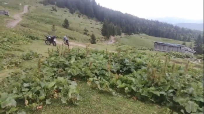 На Рахівщині припинили пошуки 29-річного закарпатця