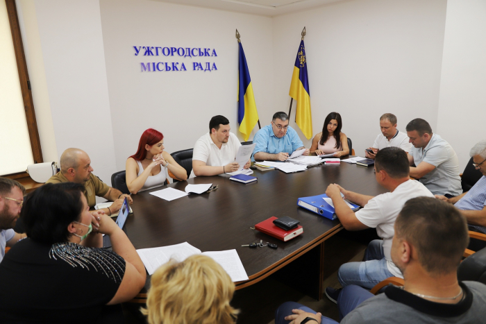 Засідання адмінкомісії в Ужгородській міськраді: кілька ужгородців заплатять штрафи