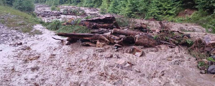 У селі на Закарпатті через негоду зійшли селеві потоки
