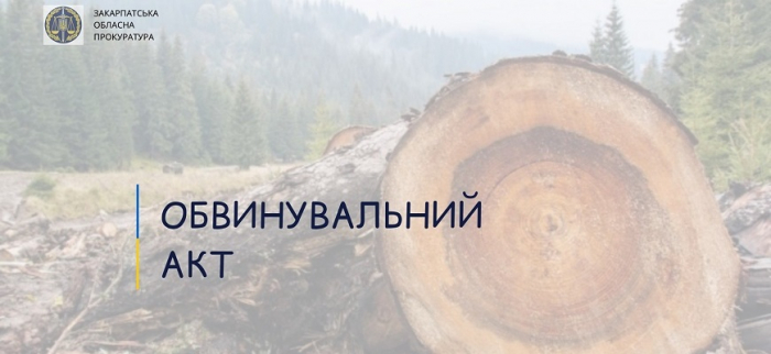 За незаконну рубку дерев судитимуть жителя Хустщини