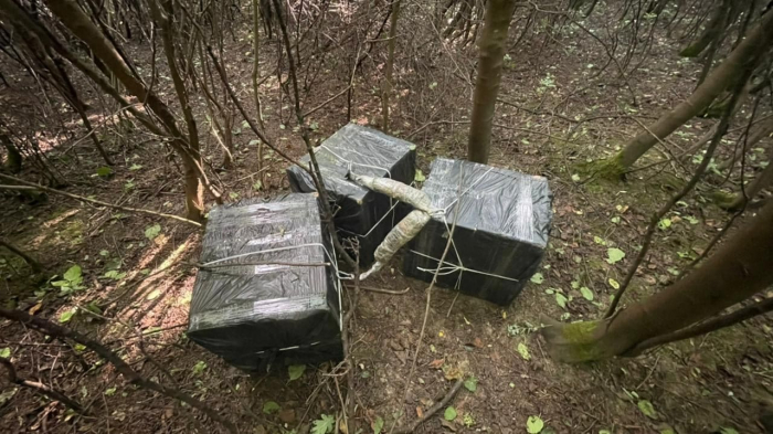 На закарпатті прикордонники припинили три спроби тютюнової контрабанди