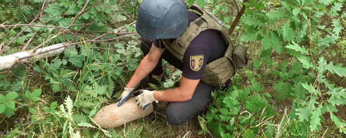 31 мінометну міну виявили рятувальники в місці проходження Лінії Арпада на Закарпатті
