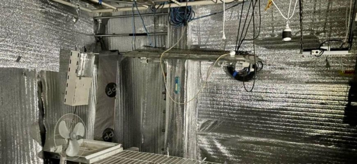 38-річний виноградівець облаштовував вдома мінінаркоплантацію (ФОТО)