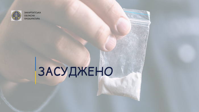 Вирок суду наркоторговцю з Виноградова: 6 років позбавлення волі та конфіскація всього майна