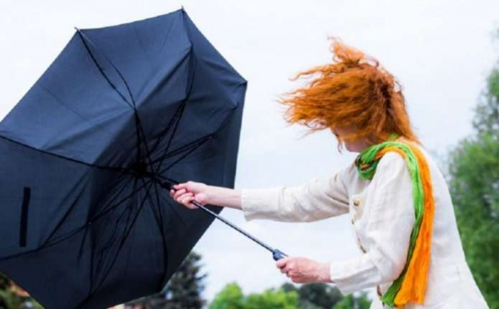 Штормове попередження: ужгородців повідомляють про шквалисте посилення вітру