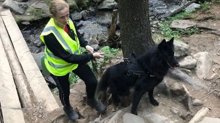 На Говерлі загубився 6-річний турист. Шукають поліція, Нацгвардія та армія