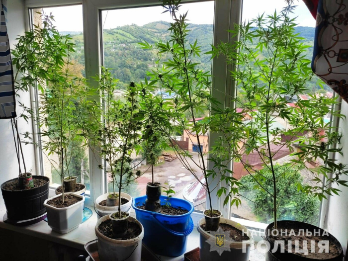 На Закарпатті затримали зловмисника, який виготовляв та збував наркотики (ФОТО)