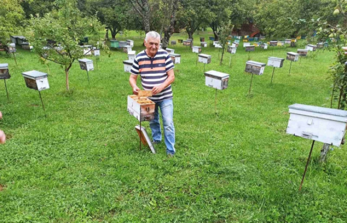 Закарпатський пасічник розповів про актуальну ціну меду, експорт бджіл та обман туристів (ФОТО)