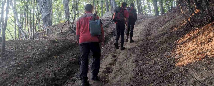 На Закарпатті знайшли 70-річного чоловіка, який 4 дні блукав у лісі