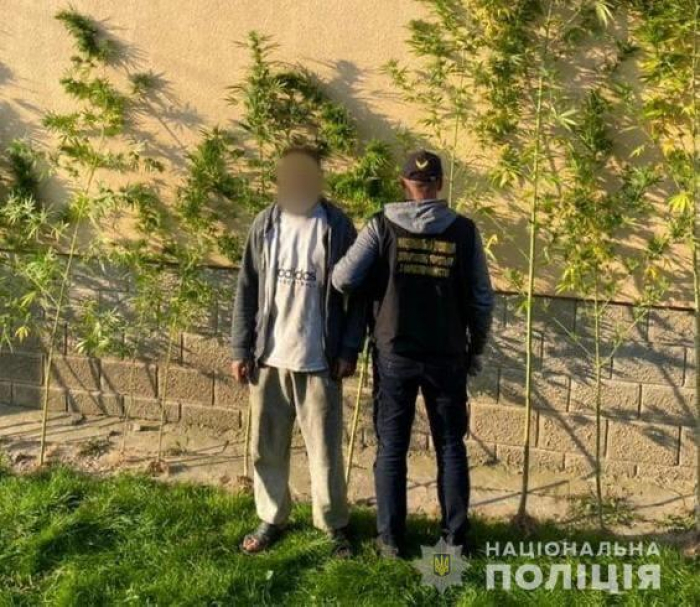 Мукачівські поліцейські вилучили у зловмисника понад 1 кілограм наркотиків рослинного походження