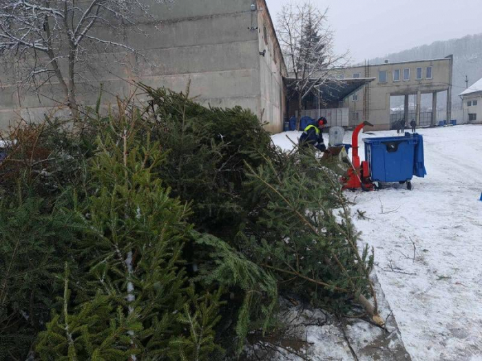 Ужгородцям - про утилізацію ялинок