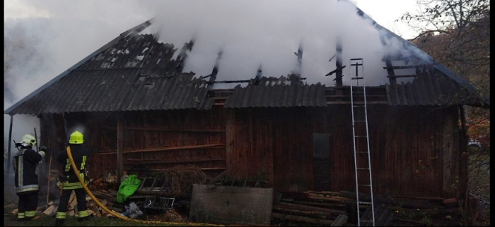 На Закарпатті в пожежі загинула жінка (ФОТО)