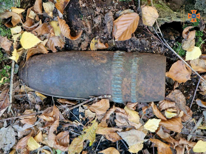 На Ужгородщині грибники знайшли старий артснаряд