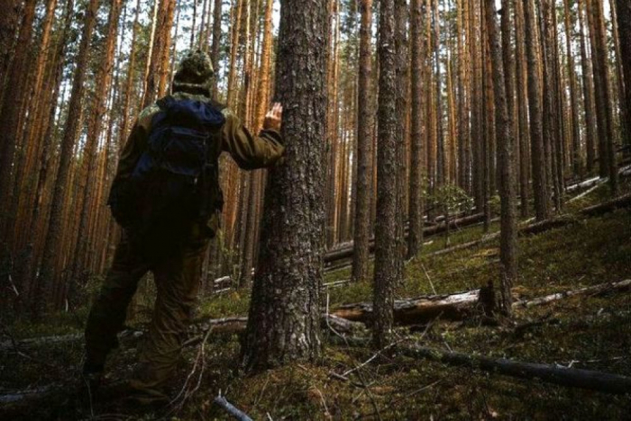 На Ужгородщині шукають грибника, що заблукав у лісі
