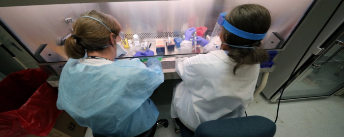 Понад 800 випадків COVID-19 виявили за добу на Закарпатті. 8 пацієнтів померли