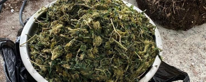 У закарпатця виявили міні-лабораторію для виготовлення наркотиків